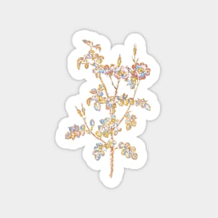 Gold Prism Mosaic Prickly Sweetbriar Rose Botanical Illustration Sticker